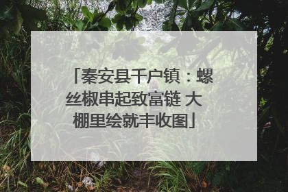 秦安县千户镇：螺丝椒串起致富链 大棚里绘就丰收图