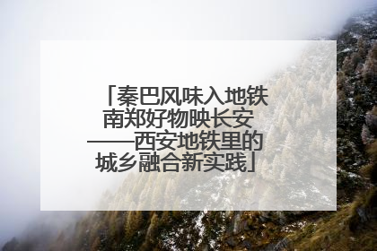 秦巴风味入地铁 南郑好物映长安——西安地铁里的城乡融合新实践