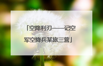 空降利刃——记空军空降兵某旅三营