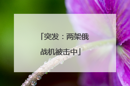 突发：两架俄战机被击中