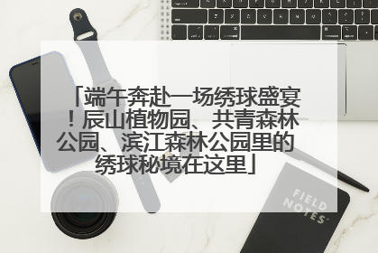 端午奔赴一场绣球盛宴！辰山植物园、共青森林公园、滨江森林公园里的绣球秘境在这里