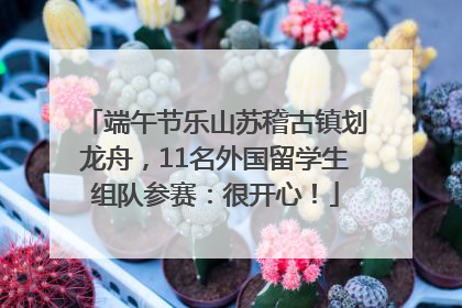 端午节乐山苏稽古镇划龙舟，11名外国留学生组队参赛：很开心！