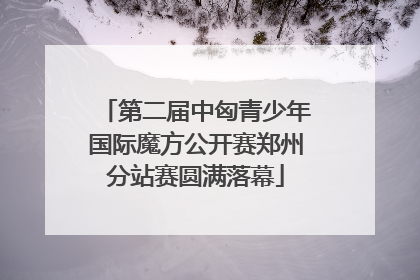 第二届中匈青少年国际魔方公开赛郑州分站赛圆满落幕