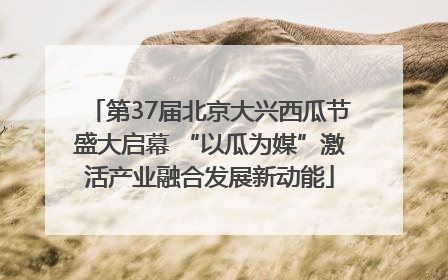第37届北京大兴西瓜节盛大启幕 “以瓜为媒”激活产业融合发展新动能