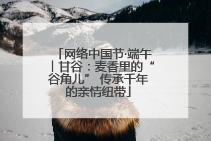 网络中国节·端午丨甘谷：麦香里的“谷角儿” 传承千年的亲情纽带