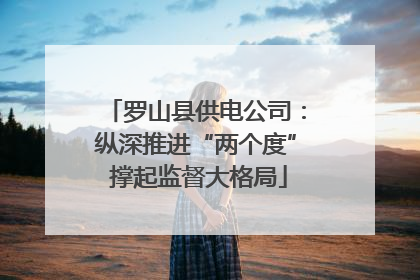 罗山县供电公司：纵深推进“两个度” 撑起监督大格局