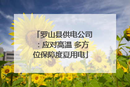 罗山县供电公司：应对高温 多方位保障度夏用电