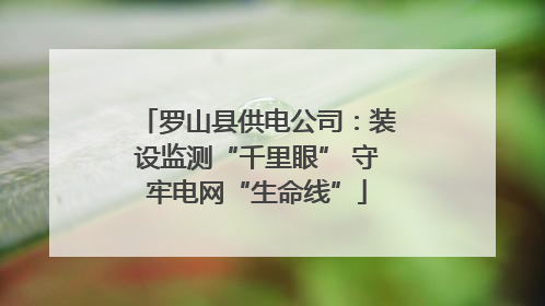 罗山县供电公司：装设监测“千里眼” 守牢电网“生命线”