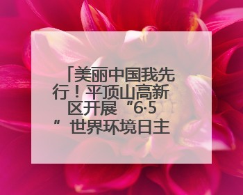 美丽中国我先行！平顶山高新区开展“6·5”世界环境日主题宣传