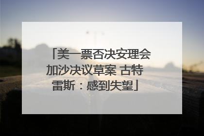 美一票否决安理会加沙决议草案 古特雷斯：感到失望