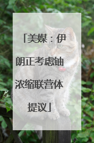 美媒：伊朗正考虑铀浓缩联营体提议