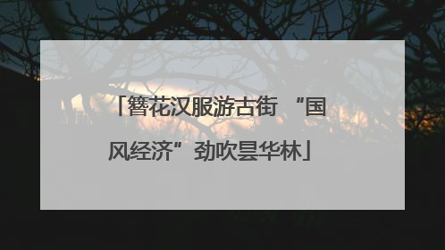 簪花汉服游古街 “国风经济”劲吹昙华林