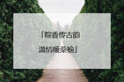 粽香传古韵 温情暖桑榆