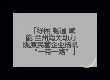 纾困 畅通 赋能 兰州海关助力陇原民营企业扬帆“一带一路”