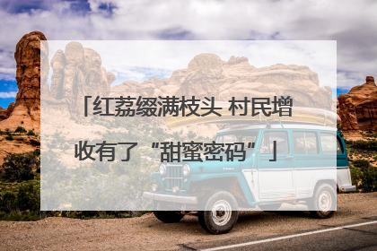 红荔缀满枝头 村民增收有了“甜蜜密码”