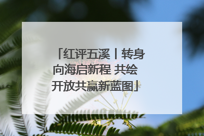 红评五溪丨转身向海启新程 共绘开放共赢新蓝图
