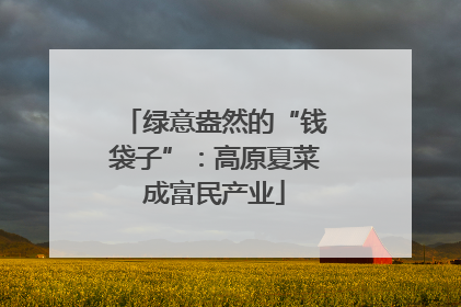 绿意盎然的“钱袋子”：高原夏菜成富民产业
