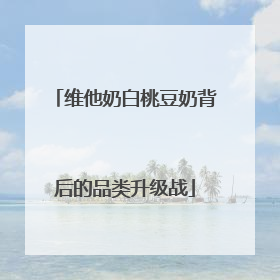 维他奶白桃豆奶背后的品类升级战