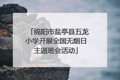 绵阳市盐亭县五龙小学开展全国无烟日主题班会活动