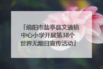 绵阳市盐亭县文通镇中心小学开展第38个世界无烟日宣传活动