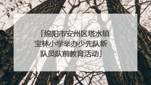 绵阳市安州区塔水镇宝林小学举办少先队新队员队前教育活动