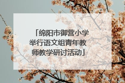 绵阳市御营小学举行语文组青年教师教学研讨活动
