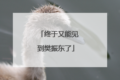 终于又能见到樊振东了