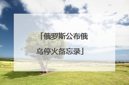 俄罗斯公布俄乌停火备忘录