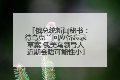 俄总统新闻秘书：待乌克兰回应备忘录草案 俄美乌领导人近期会晤可能性小