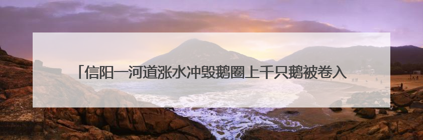 信阳一河道涨水冲毁鹅圈上千只鹅被卷入洪流，当地蓝天救援队一小时赶鹅上岸