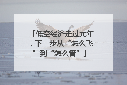 低空经济走过元年，下一步从“怎么飞”到“怎么管”