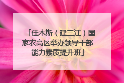 佳木斯（建三江）国家农高区举办领导干部能力素质提升班