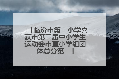 临汾市第一小学喜获市第二届中小学生运动会市直小学组团体总分第一