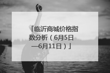 临沂商城价格指数分析（6月5日—6月11日）