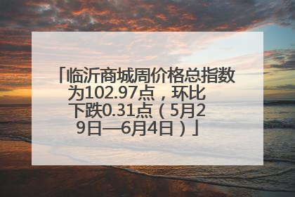 临沂商城周价格总指数为102.97点，环比下跌0.31点（5月29日—6月4日）