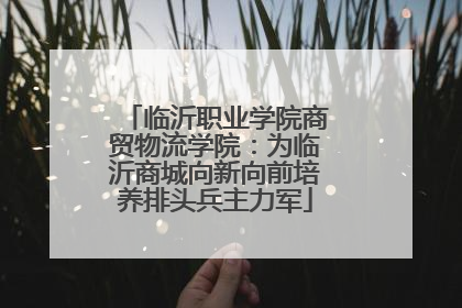 临沂职业学院商贸物流学院：为临沂商城向新向前培养排头兵主力军