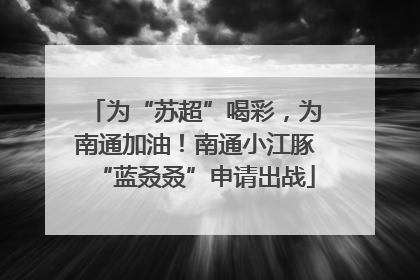 为“苏超”喝彩，为南通加油！南通小江豚“蓝叒叒”申请出战