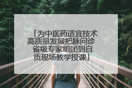 为中医药适宜技术高质量发展把脉问诊 省级专家组团到自贡现场教学授课