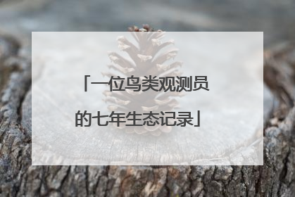 一位鸟类观测员的七年生态记录
