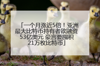 一个月涨近5倍！亚洲最大比特币持有者欲融资53亿美元 豪言要囤积21万枚比特币
