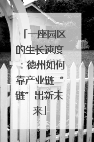 一座园区的生长速度：德州如何靠产业链“链”出新未来