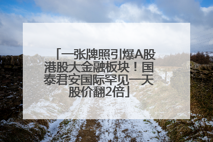 一张牌照引爆A股港股大金融板块！国泰君安国际罕见一天股价翻2倍