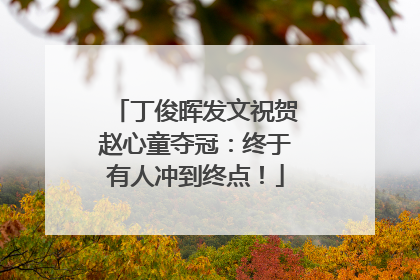 丁俊晖发文祝贺赵心童夺冠：终于有人冲到终点！