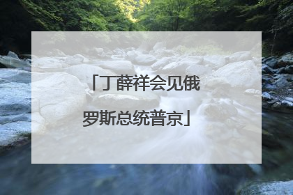 丁薛祥会见俄罗斯总统普京