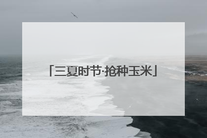 三夏时节·抢种玉米