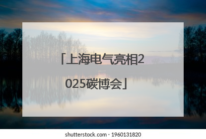 上海电气亮相2025碳博会