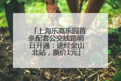 上海乐高乐园首条配套公交线路明日开通：途经金山北站，票价1元