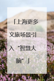 上海更多文旅场景引入“智慧大脑”