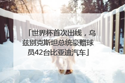 世界杯首次出线，乌兹别克斯坦总统豪赠球员42台比亚迪汽车