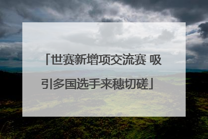 世赛新增项交流赛 吸引多国选手来穗切磋